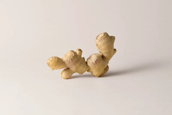 Ginger Root