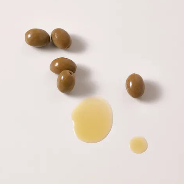 زيت الزيتون
