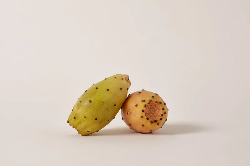 extracto-de-nopal-cactus_image