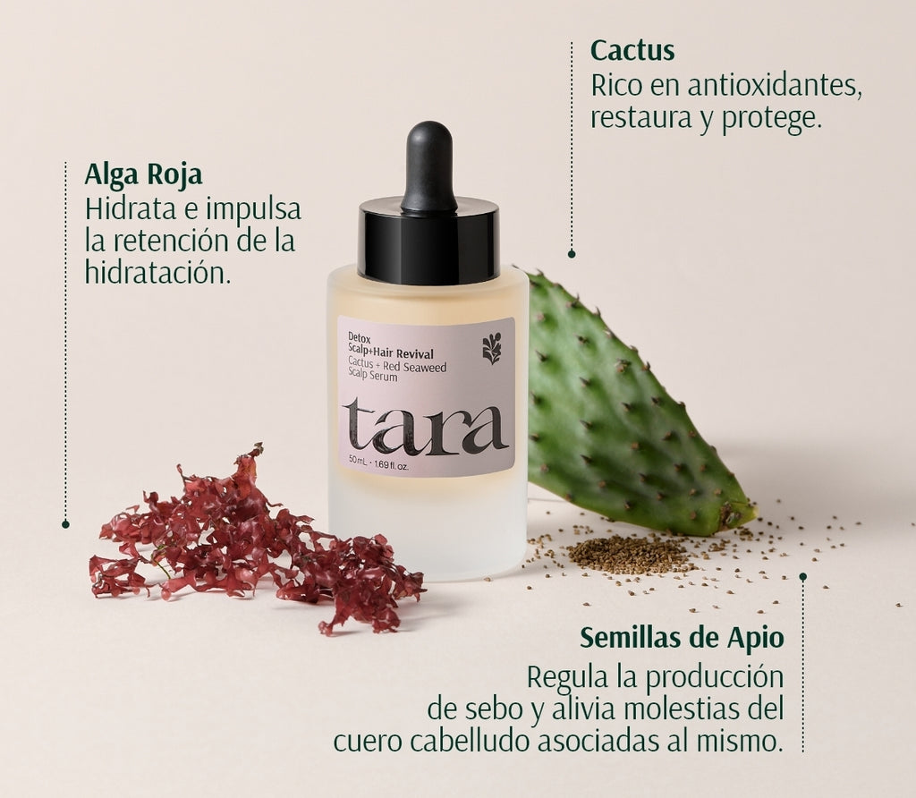 Cactus + Red Seaweed Scalp Serum