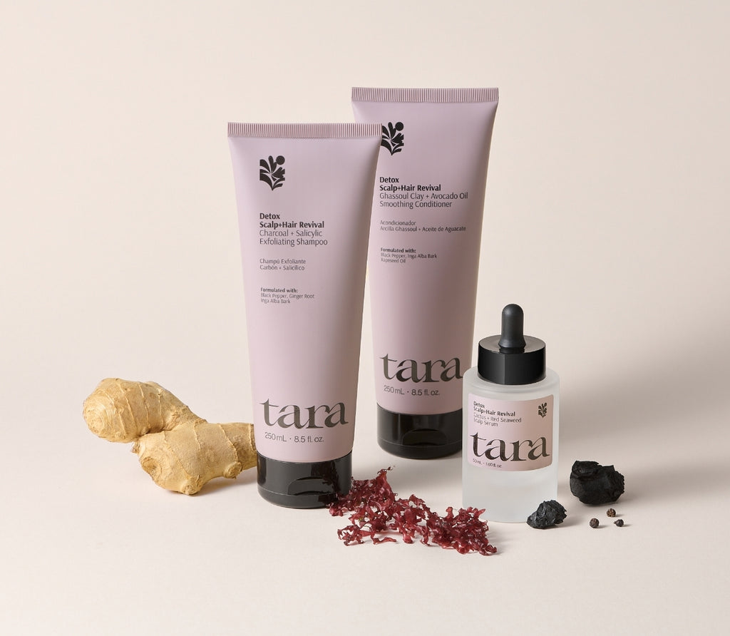 Charcoal + Salicylic Exfoliating Shampoo