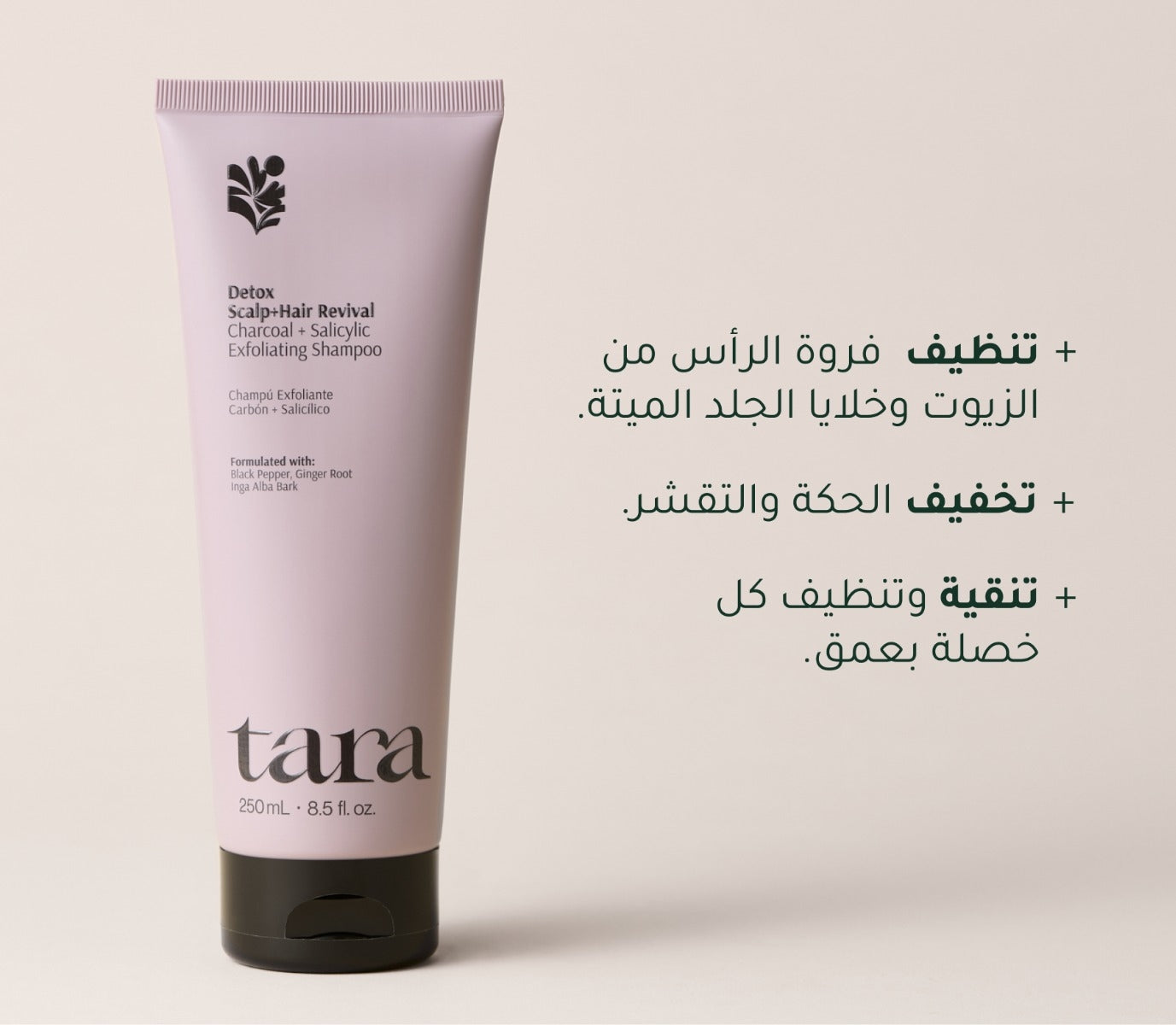 Charcoal + Salicylic Exfoliating Shampoo