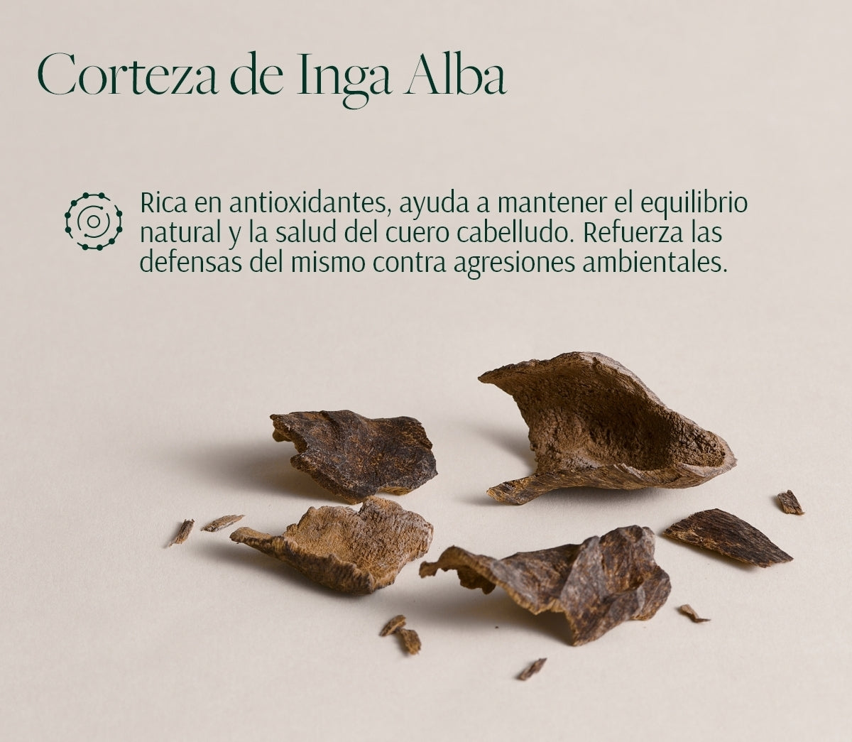 Scalp + Hair Revival System