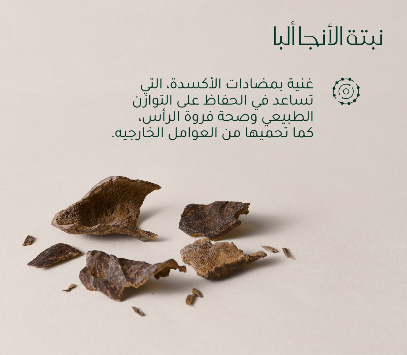 Scalp + Hair Revival System