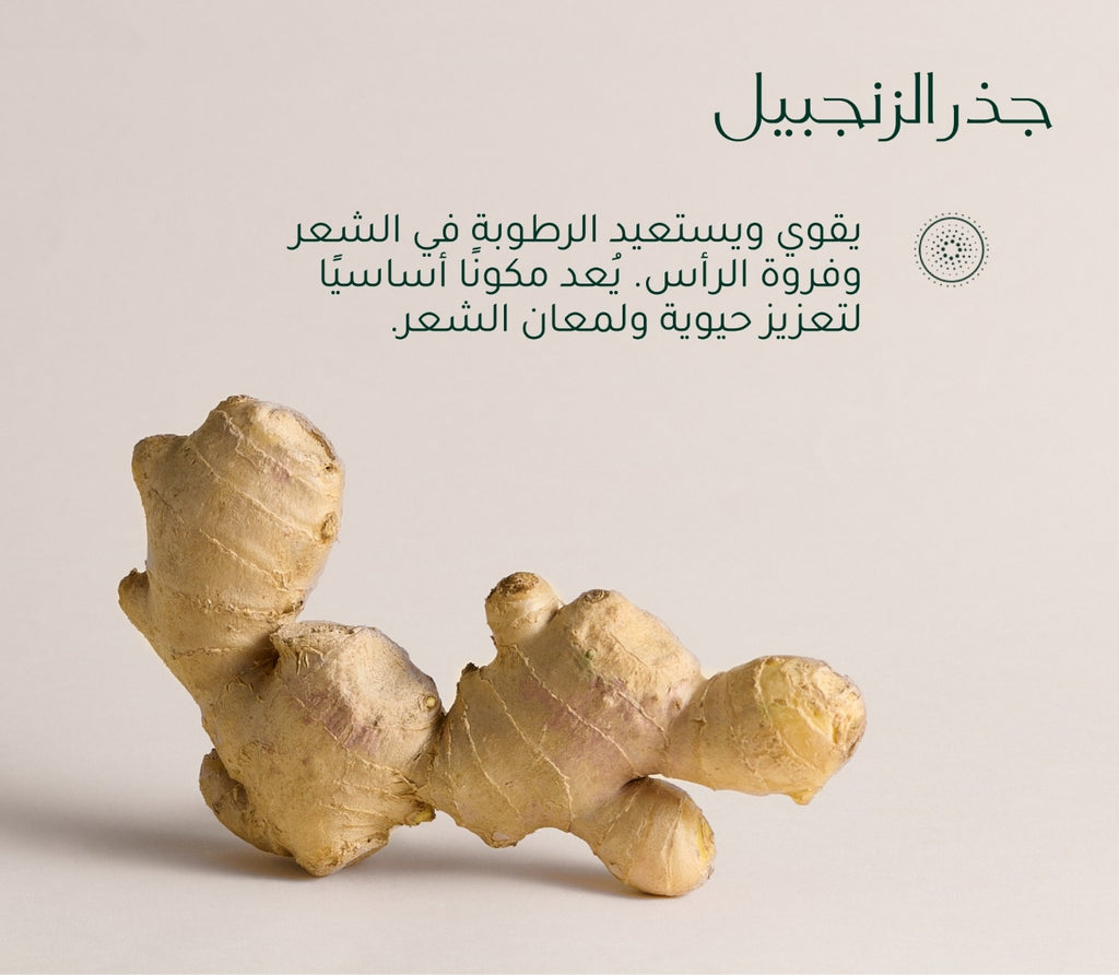 Scalp + Hair Revival System