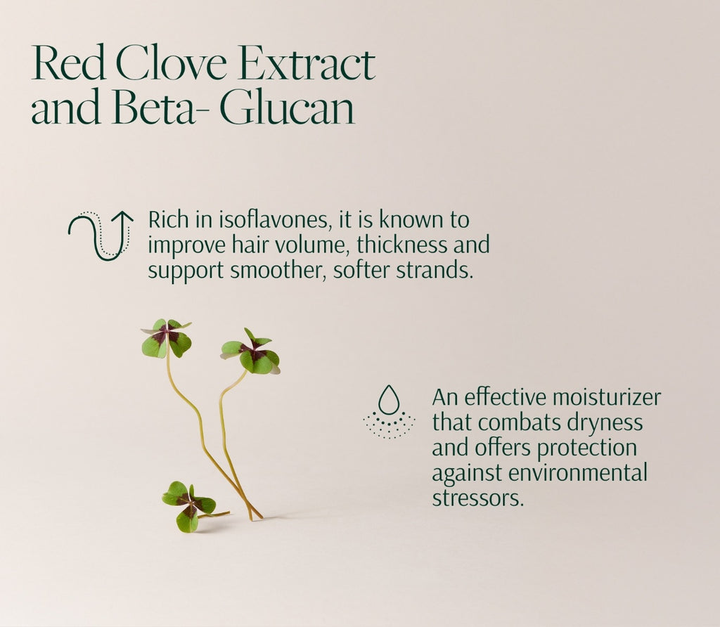 Hair Stimulation System