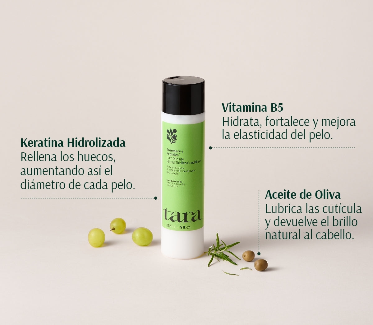 بلسم اكليل الجبل  + البيبدات لزيادة سماكة الشعر