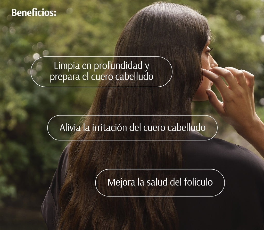 شامبو اكليل الجبل  + الببديتات لتهيئة فروة الرأس