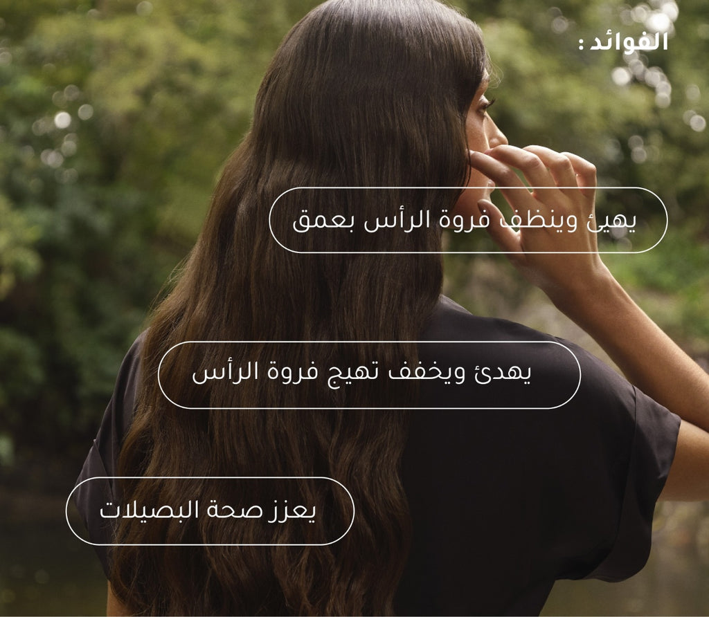 شامبو اكليل الجبل  + الببديتات لتهيئة فروة الرأس