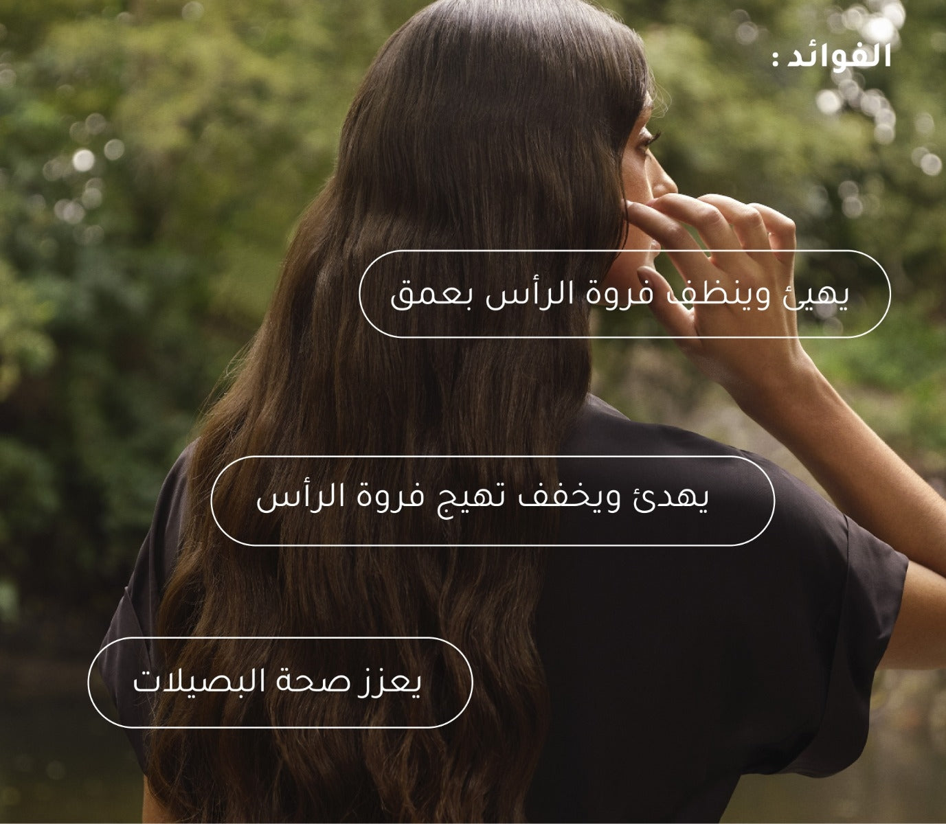 شامبو اكليل الجبل  + الببديتات لتهيئة فروة الرأس