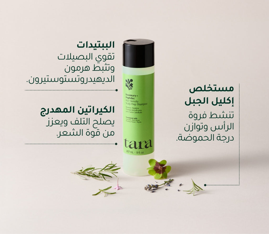 شامبو اكليل الجبل  + الببديتات لتهيئة فروة الرأس