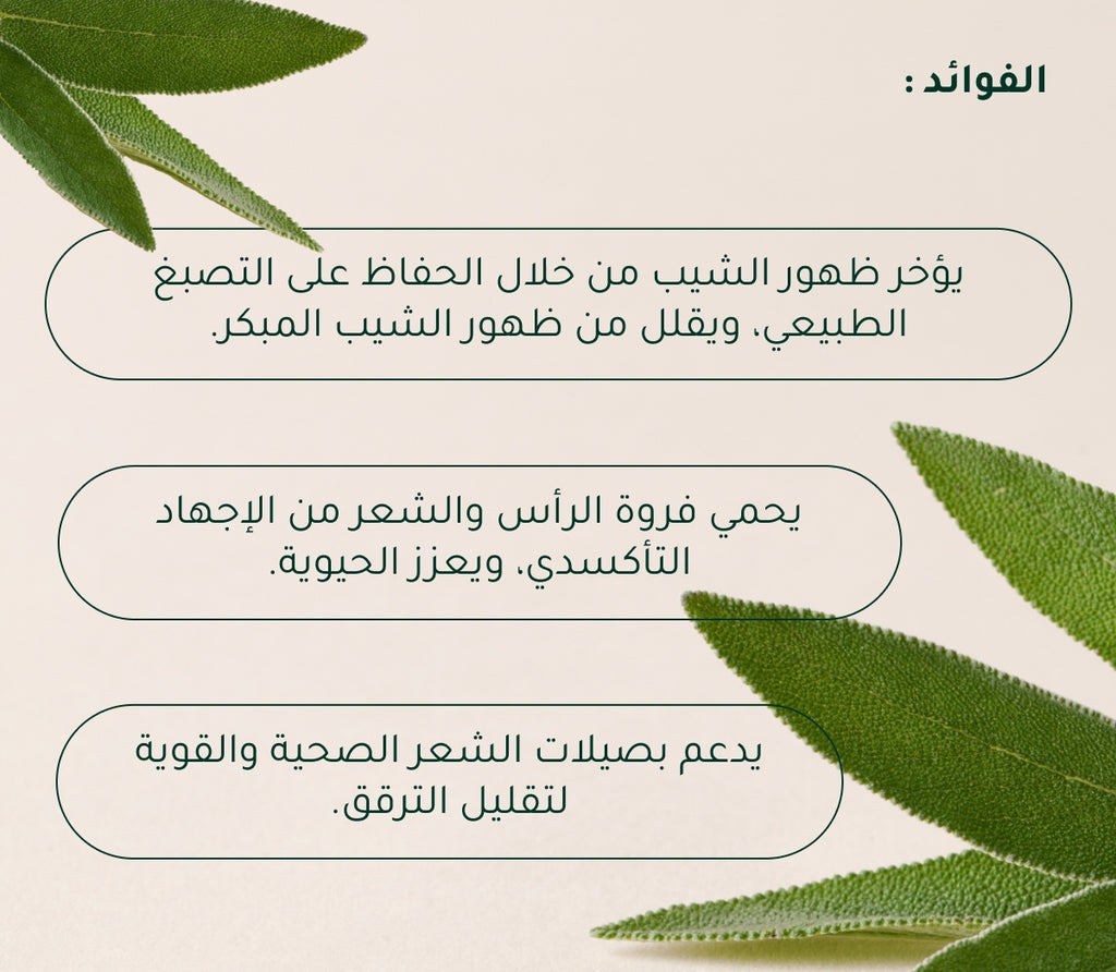 سيروم لفروة الرأس الميرمية + الفيتامينات المتعدده  لمقاومة الشيب وعلامات شيخوخة الشعر