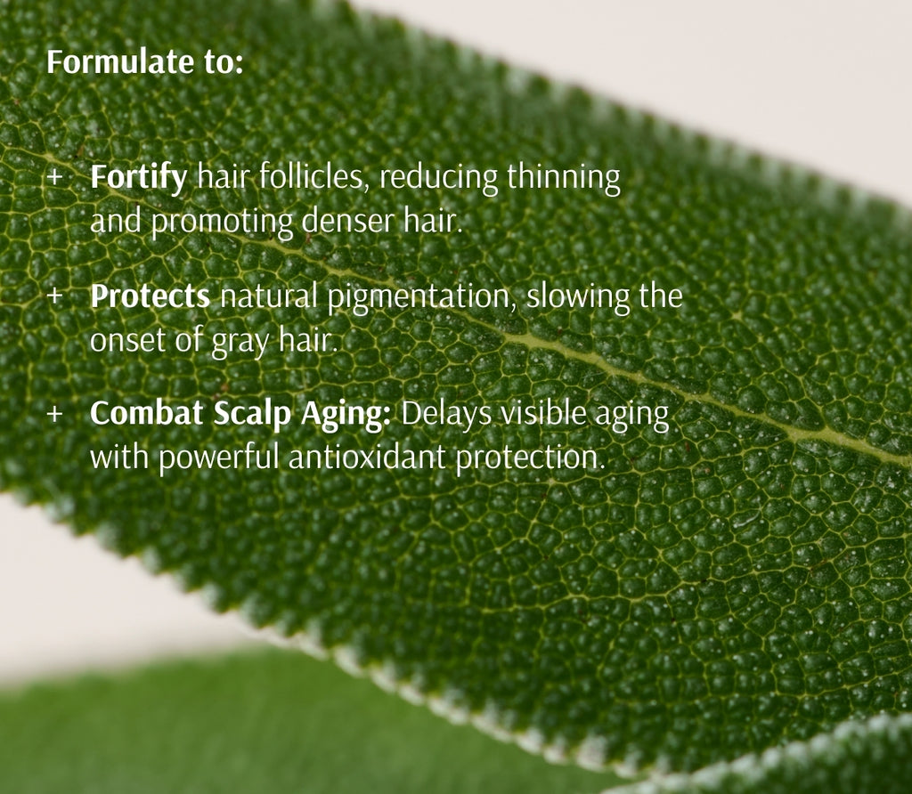 سيروم لفروة الرأس الميرمية + الفيتامينات المتعدده  لمقاومة الشيب وعلامات شيخوخة الشعر