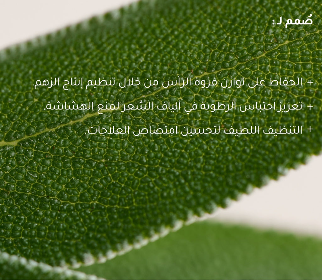 شامبو الميرمية + الفيتامينات المتعدده لمحاربة شيخوخة الشعر