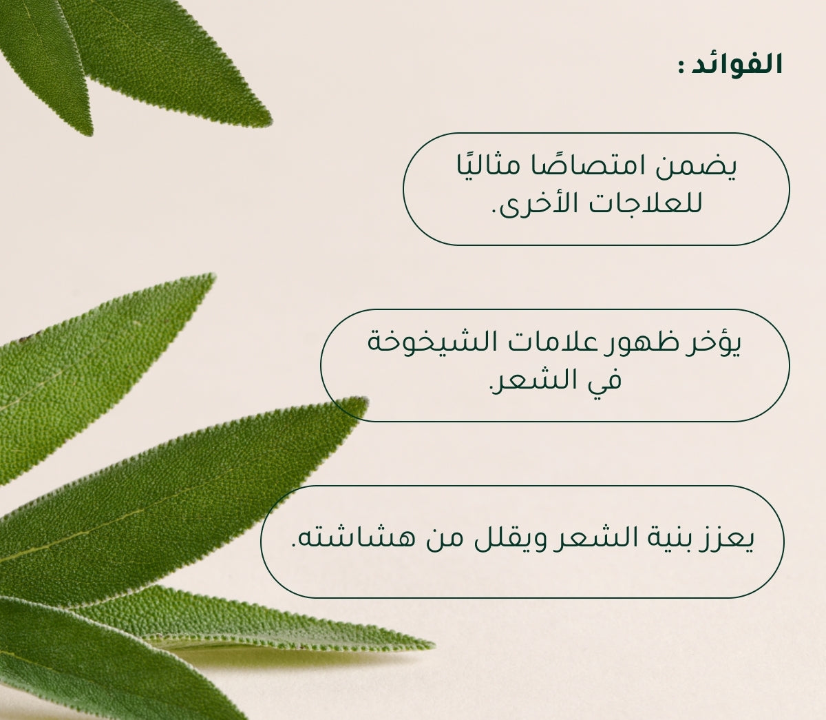 شامبو الميرمية + الفيتامينات المتعدده لمحاربة شيخوخة الشعر