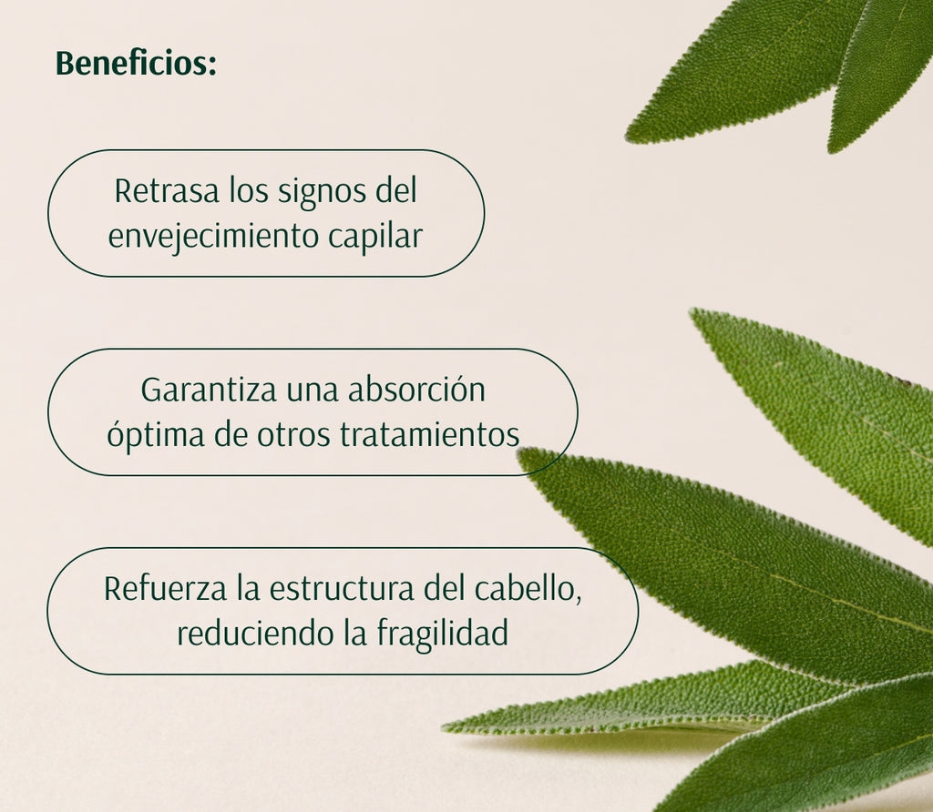 شامبو الميرمية + الفيتامينات المتعدده لمحاربة شيخوخة الشعر