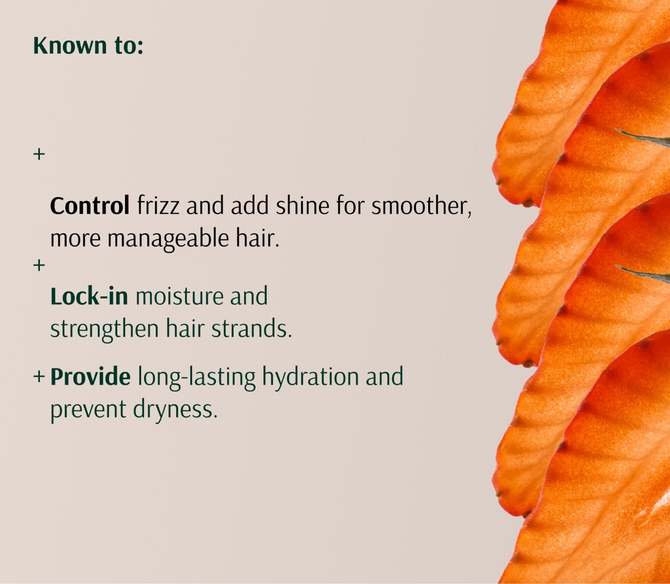 Nurture Leave-In Conditioner