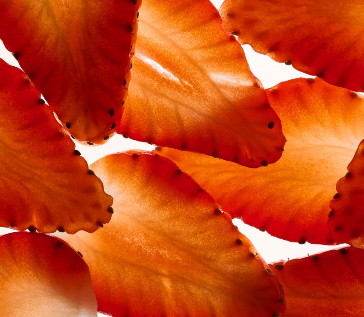 Nurture Leave-In Conditioner